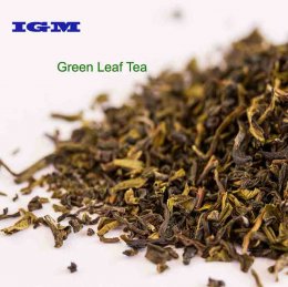 Darjeeling Green Tea Leaf - 400 gms Darjeeling Green Tea Leaf - 400 gms
