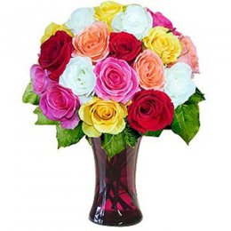 18 Mixed Long Stem Roses - Brazil Delivery Only 18 Mixed Long Stem Roses - Brazil Delivery Only
