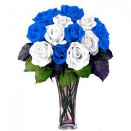 12 White and Blue Roses - Croatia Delivery Only 12 White and Blue Roses - Croatia Delivery Only