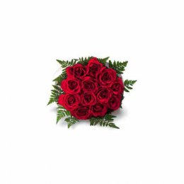 12 Red Roses - India Delivery Only 12 Red Roses - India Delivery Only