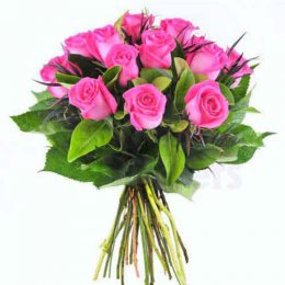 12 Pink Roses - India Delivery Only 12 Pink Roses - India Delivery Only