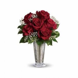 Kiss of the Rose Kiss of the Rose