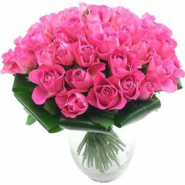 51 Pink Roses - India Delivery Only 51 Pink Roses - India Delivery Only
