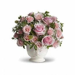 Parisian Pinks Parisian Pinks