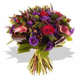 Black Magic - Belgium Delivery Only Black Magic - Belgium Delivery Only