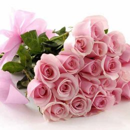 20 Pink Roses - India Delivery Only 20 Pink Roses - India Delivery Only