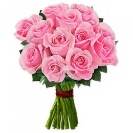 One Dozen Pink Roses - Australia Delivery Only One Dozen Pink Roses - Australia Delivery Only