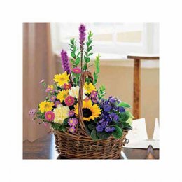 Planted Basket - Peru Delivery Only Planted Basket - Peru Delivery Only