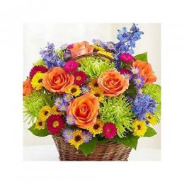 Beautiful Basket Beautiful Basket