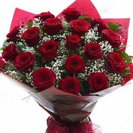18 Red Roses - India Delivery Only 18 Red Roses - India Delivery Only
