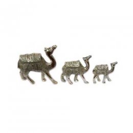 Set Of Three Camels Set Of Three Camels