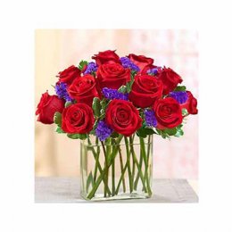 Modern Roses Modern Roses