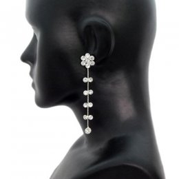 Drop Earrings With A D Stones Drop Earrings With A D Stones