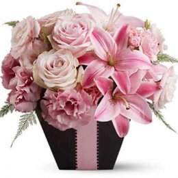 Pink Blush - Taiwan Delivery Only Pink Blush - Taiwan Delivery Only