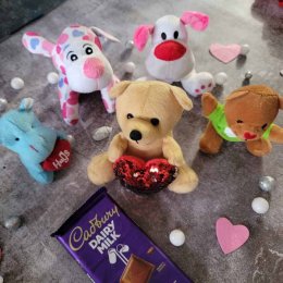 Teddies For My Teddy - USA Direct Teddies For My Teddy - USA Direct