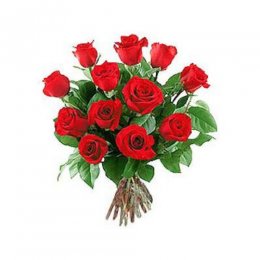 12 Long Stem Roses - Puerto Rico Delivery Only 12 Long Stem Roses - Puerto Rico Delivery Only