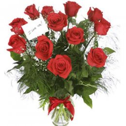 Scarlet Elegance - Moldova Delivery Only Scarlet Elegance - Moldova Delivery Only
