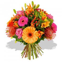Bright And Beautiful - Belgium Delivery Only Bright And Beautiful - Belgium Delivery Only