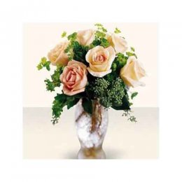 6 Pink Roses 6 Pink Roses