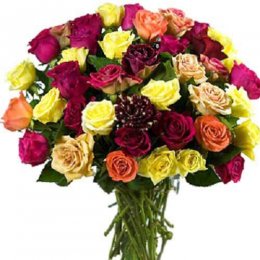 12 Mixed Rose Bouquet 12 Mixed Rose Bouquet